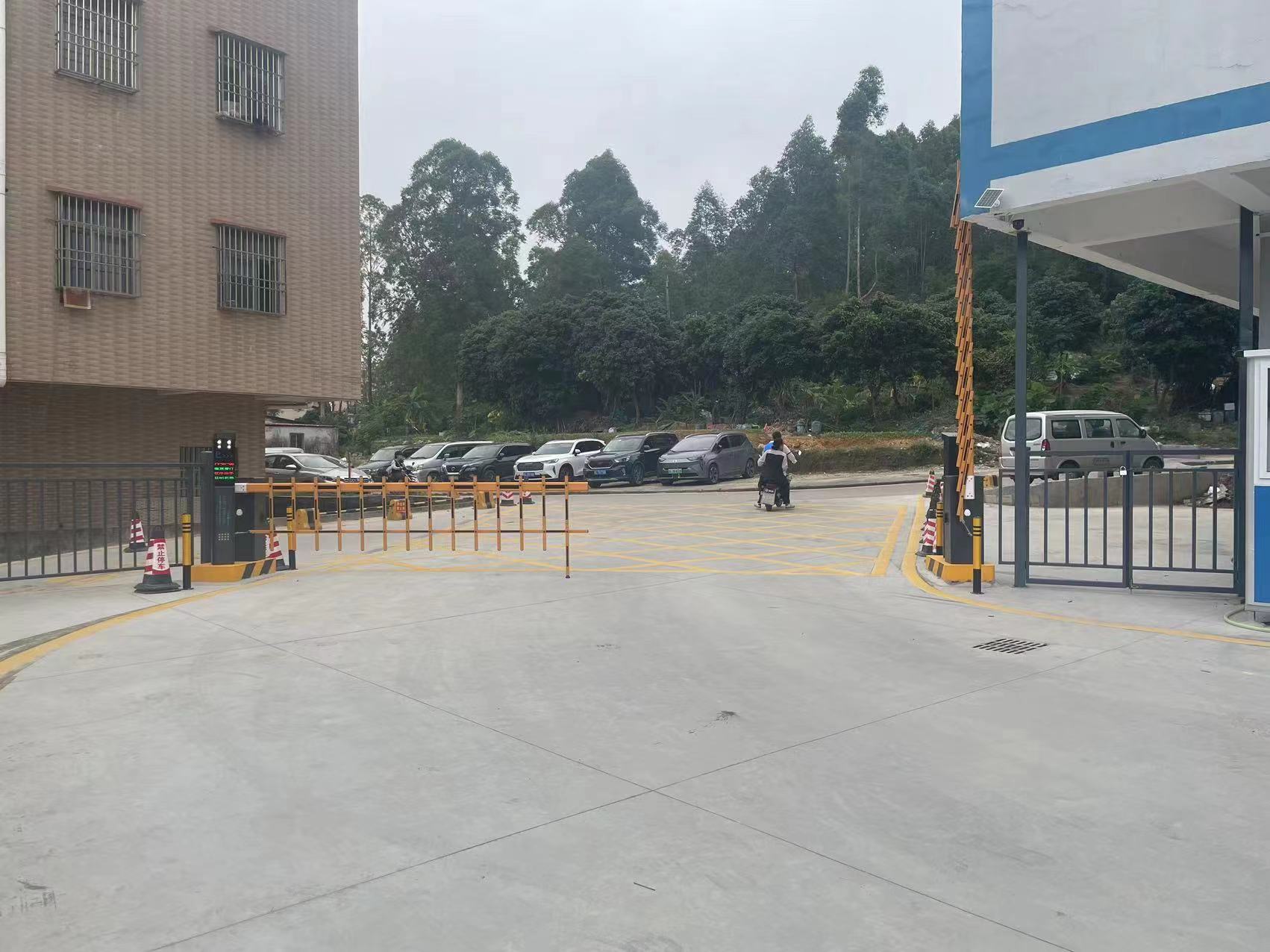 六马宝典资料大全网